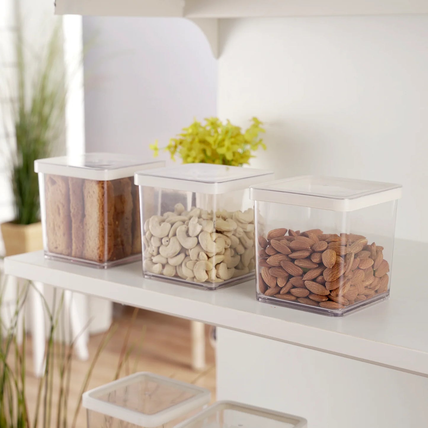 Nicola Food Storage Container- Set of 6